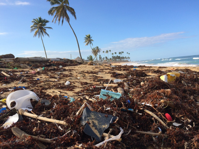 Zoom sur un plastique bio et vegan